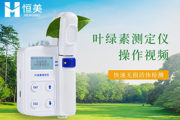植物葉綠素測(cè)定儀操作視頻